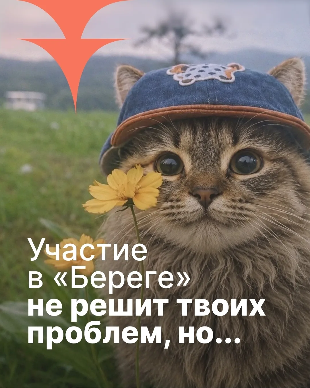 Молодёжь Ленобласти ждут в Карелии: форум «Берег.Поморье», новые знакомства и гранты до 1 миллиона р