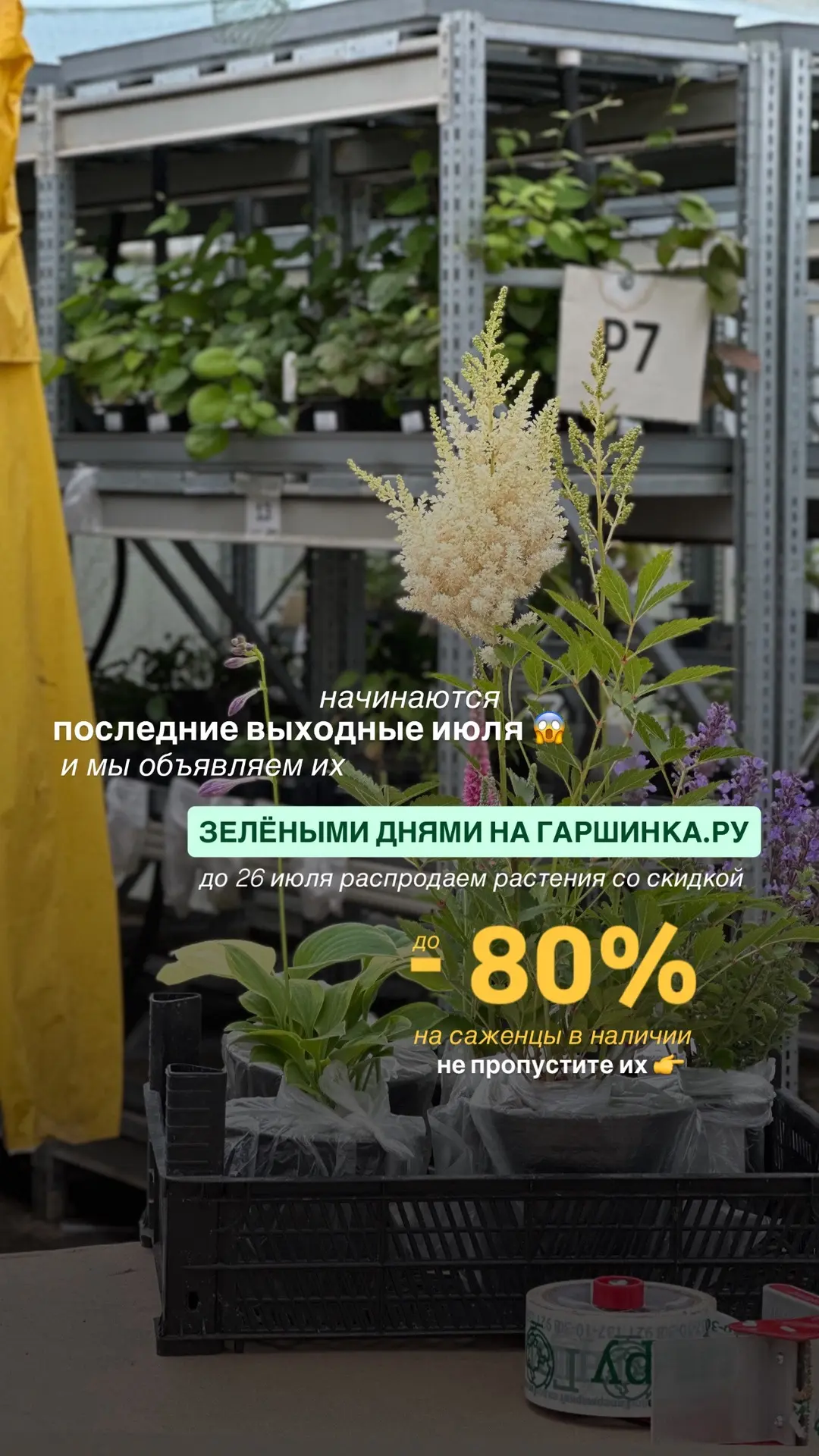 ЗЕЛЁНЫЕ ДНИ В САМОМ РАЗГАРЕ 💚
‼️Это предложение нельзя пропустить 👉 смотрите подборку со скидками 