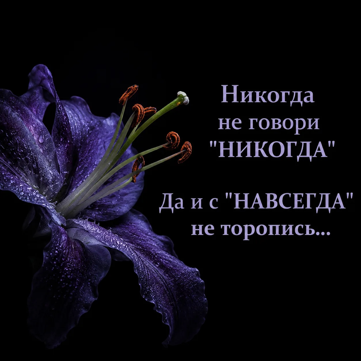 Оставьте любую реакцию 😊 Это лучшая благодарность для нас ❤️