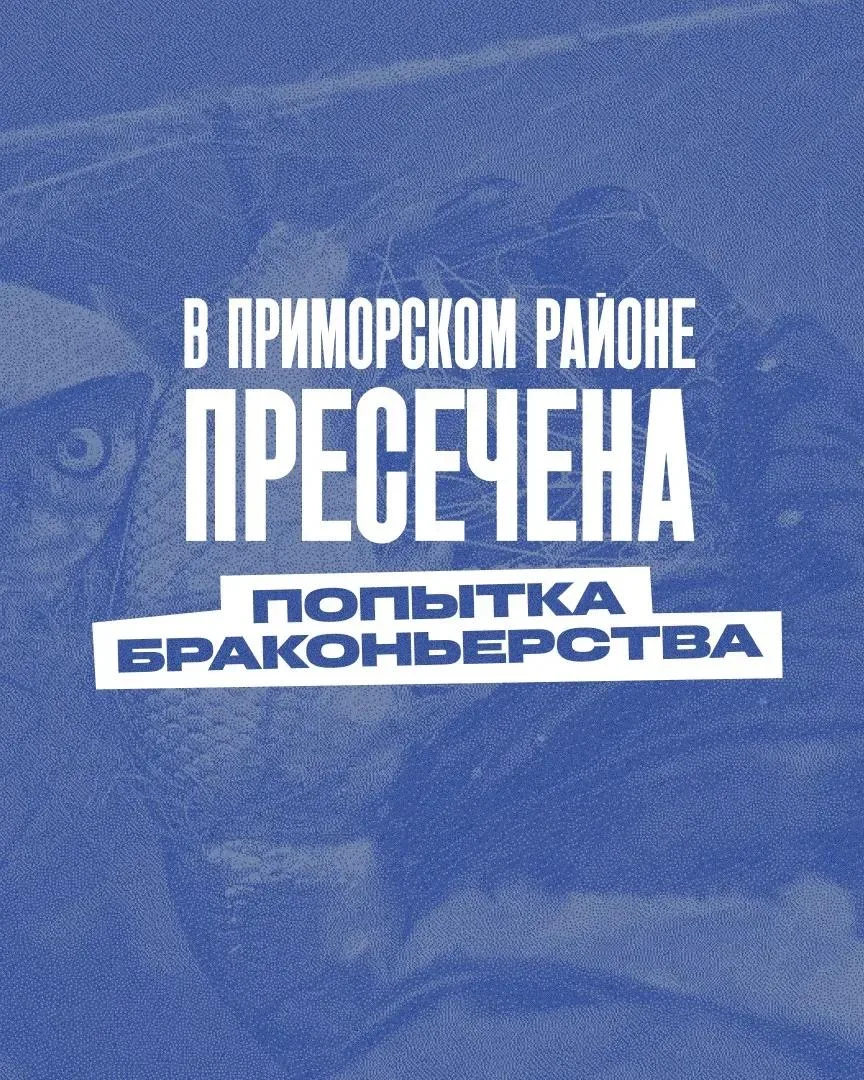 🐠 Депутат Николай Цед помог рыбакам Приморского района спасти Лахтинский разлив от бра...