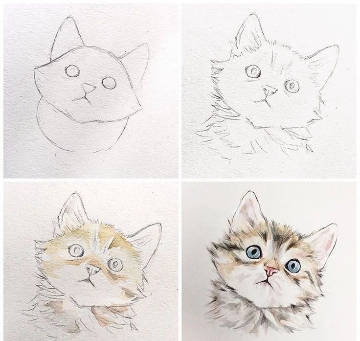 Как нарисовать котика