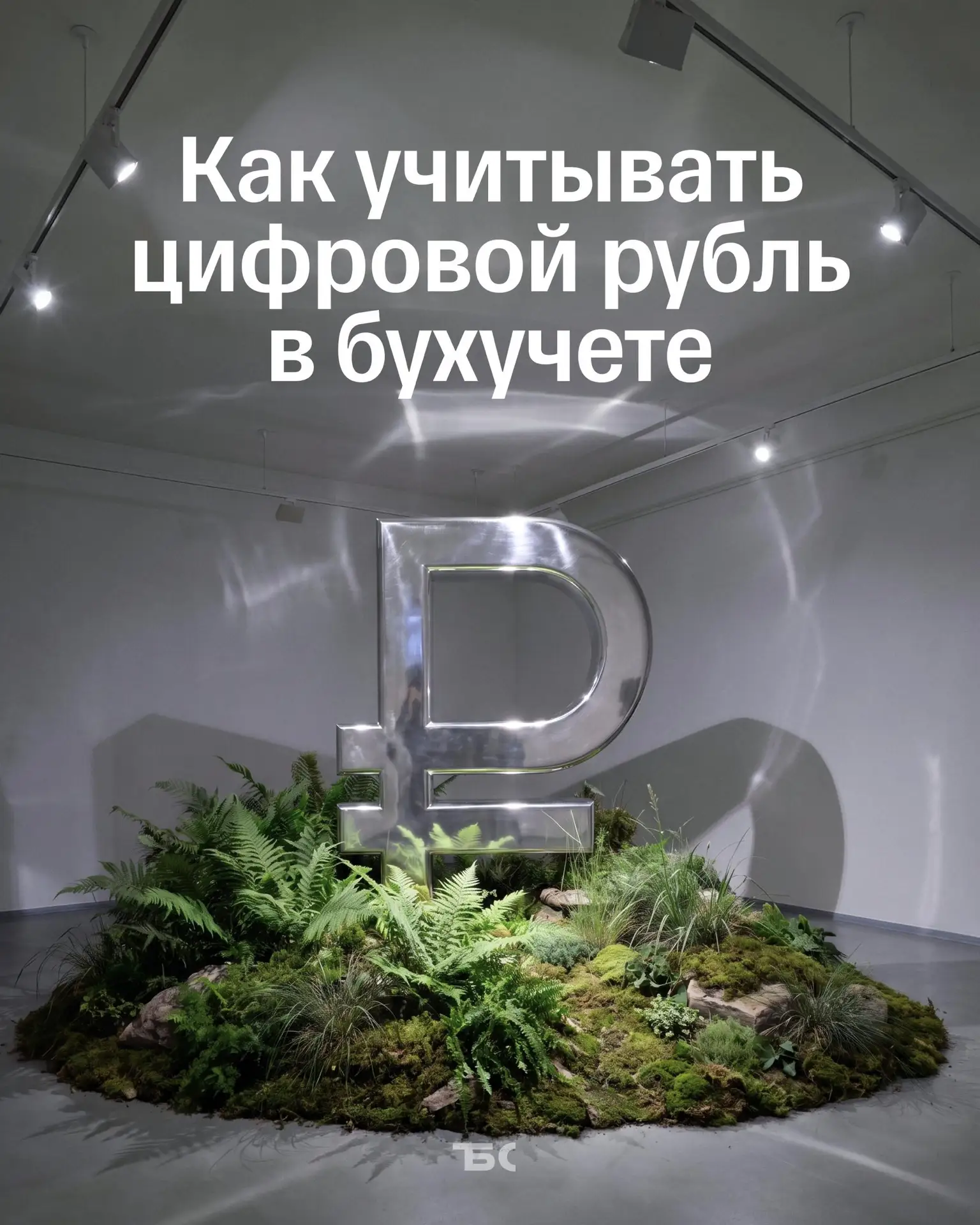 🪙 Цифровой рубль в бухучете: счета и проводки