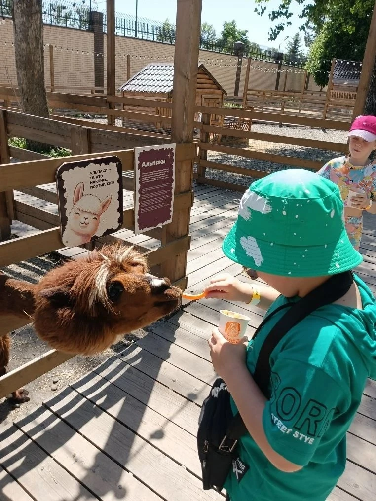 Увлекательное путешествие к альпакам! 🦙 ☀    Сегодня 1 "З" класс отправился на экскурсию в парк альп