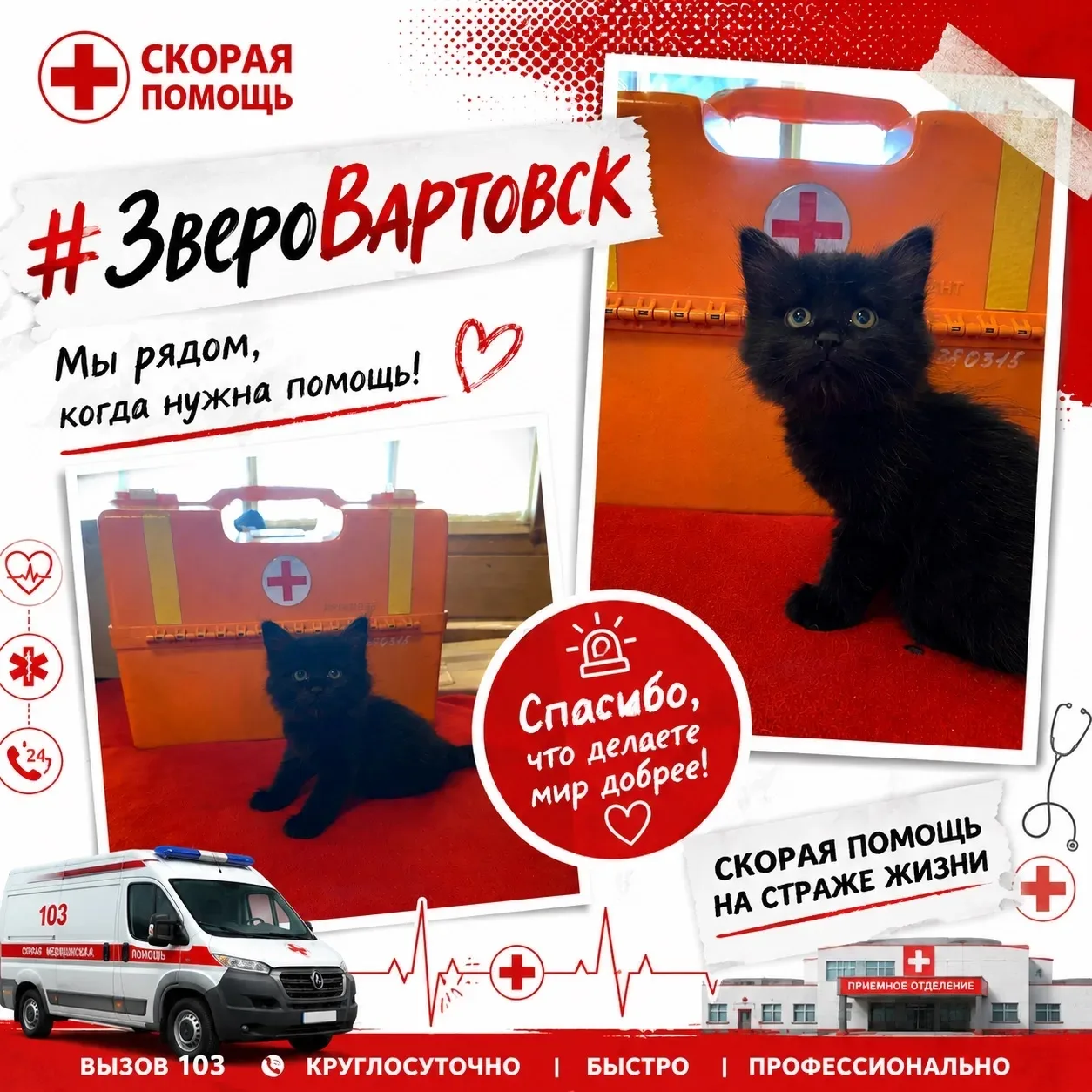 🐾🚑 #ЗвероВартовск

Иногда на смене встречаются самые необычные пациенты. Этот маленький черный пуш