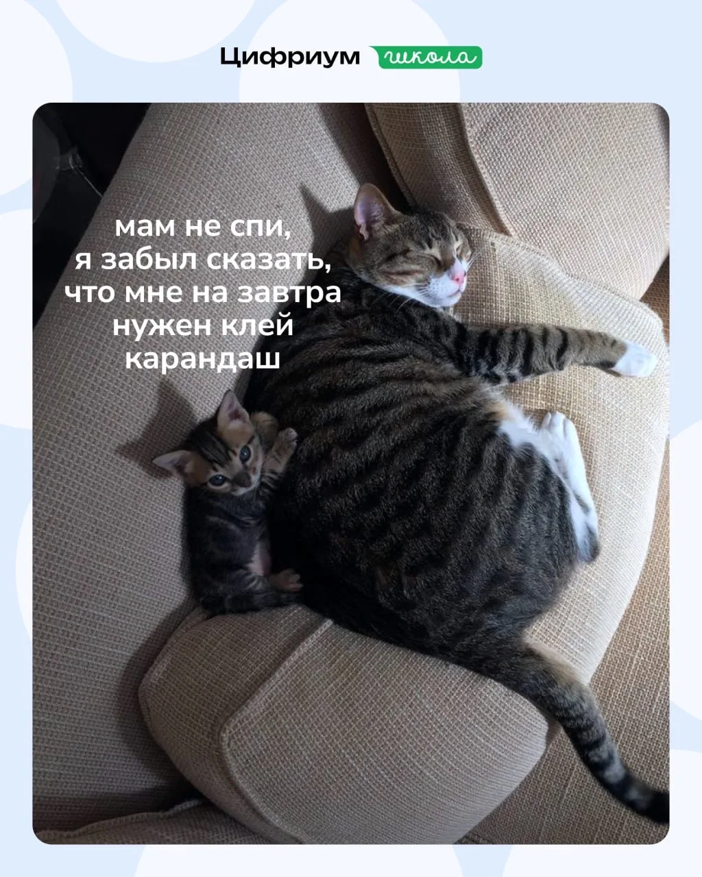 Знакомая ситуация?😉
