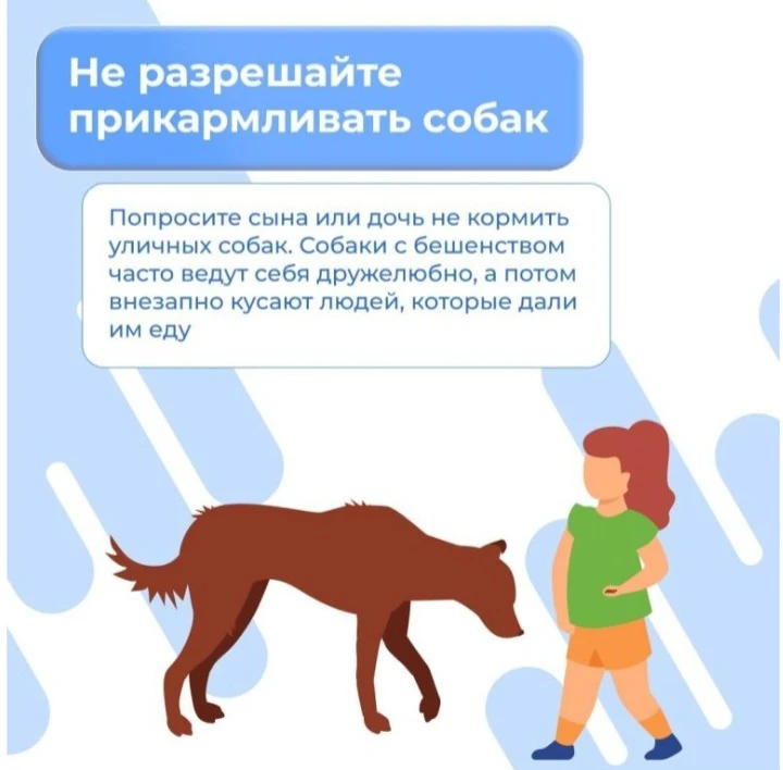⚠️ВСТРЕЧА С БРОДЯЧЕЙ СОБАКОЙ⚠️  ⏩️Собака - друг человека.  Но важно научить детей правилам, чтобы вс