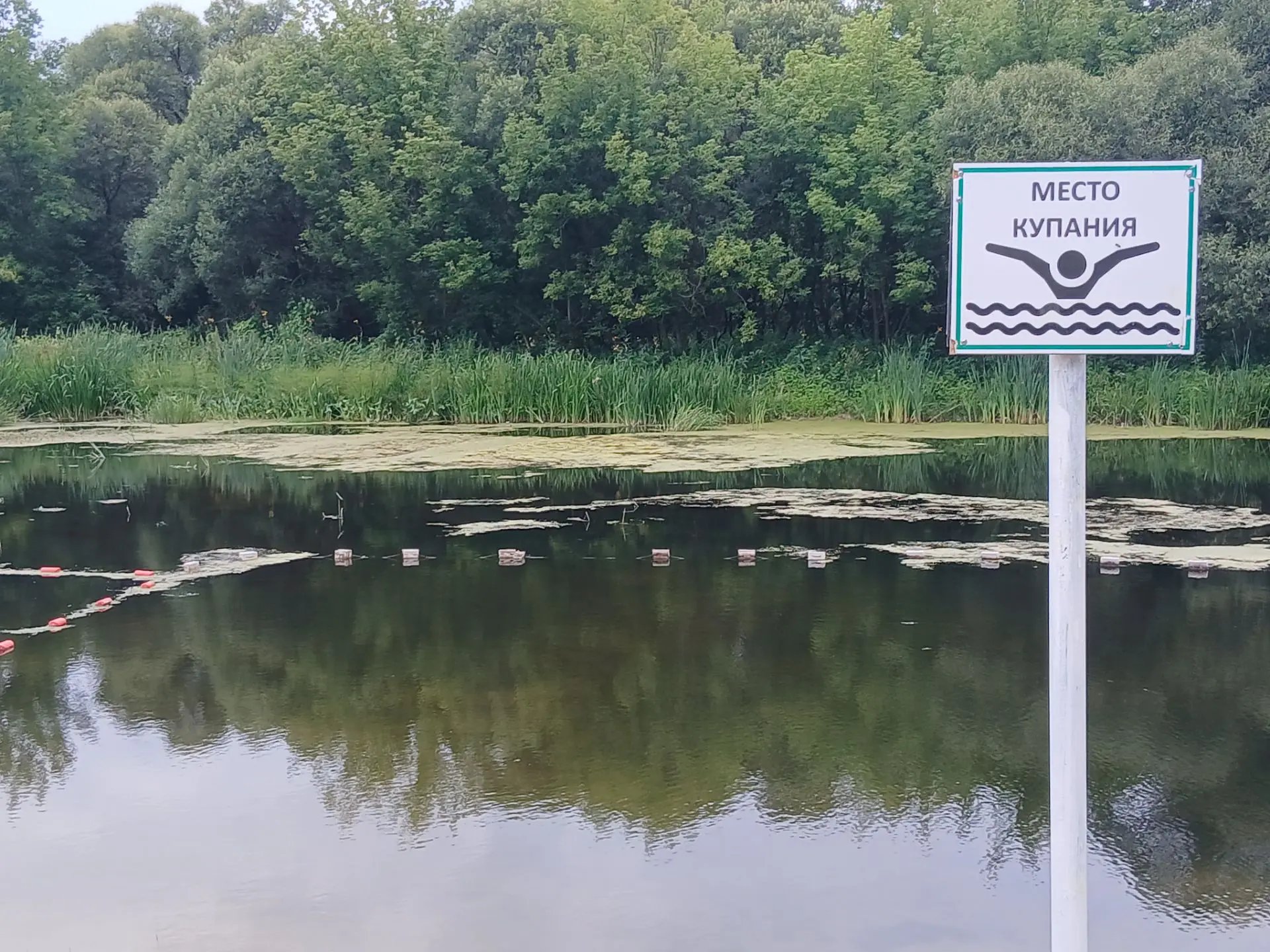 🌊 КУПАЕМСЯ БЕЗОПАСНО НА РЕКЕ ВАЛУЙ
