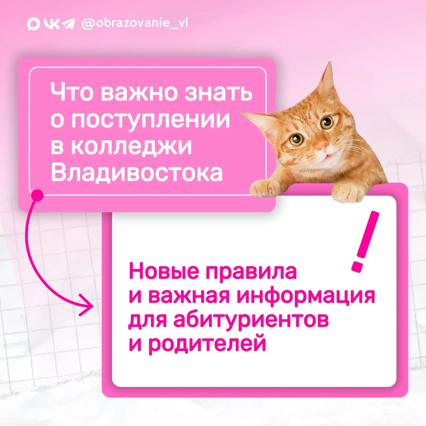 Что нужно знать о поступлении в колледжи в 2026 году?