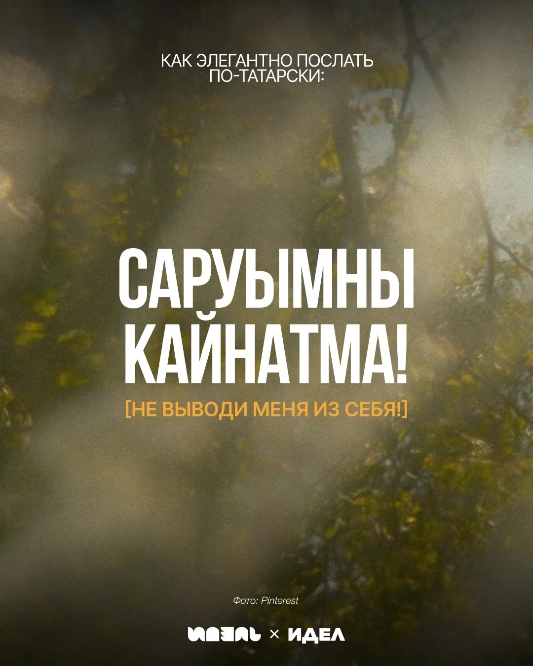 Как элегантно послать по-татарски 🤌🏽
