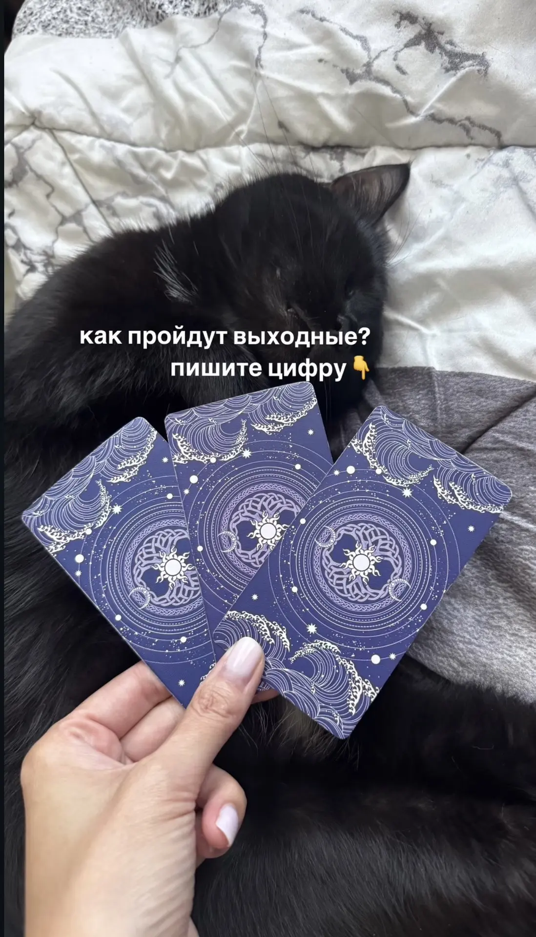 Выбирайте 1,2,3