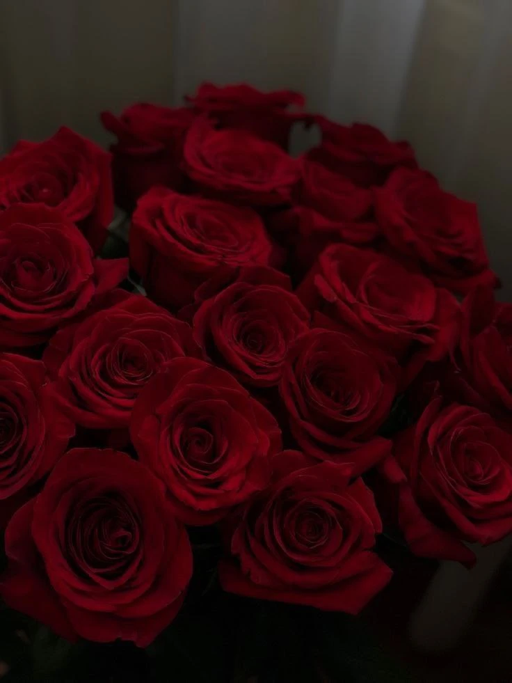 🌹 Роза спрей Флеш Найт