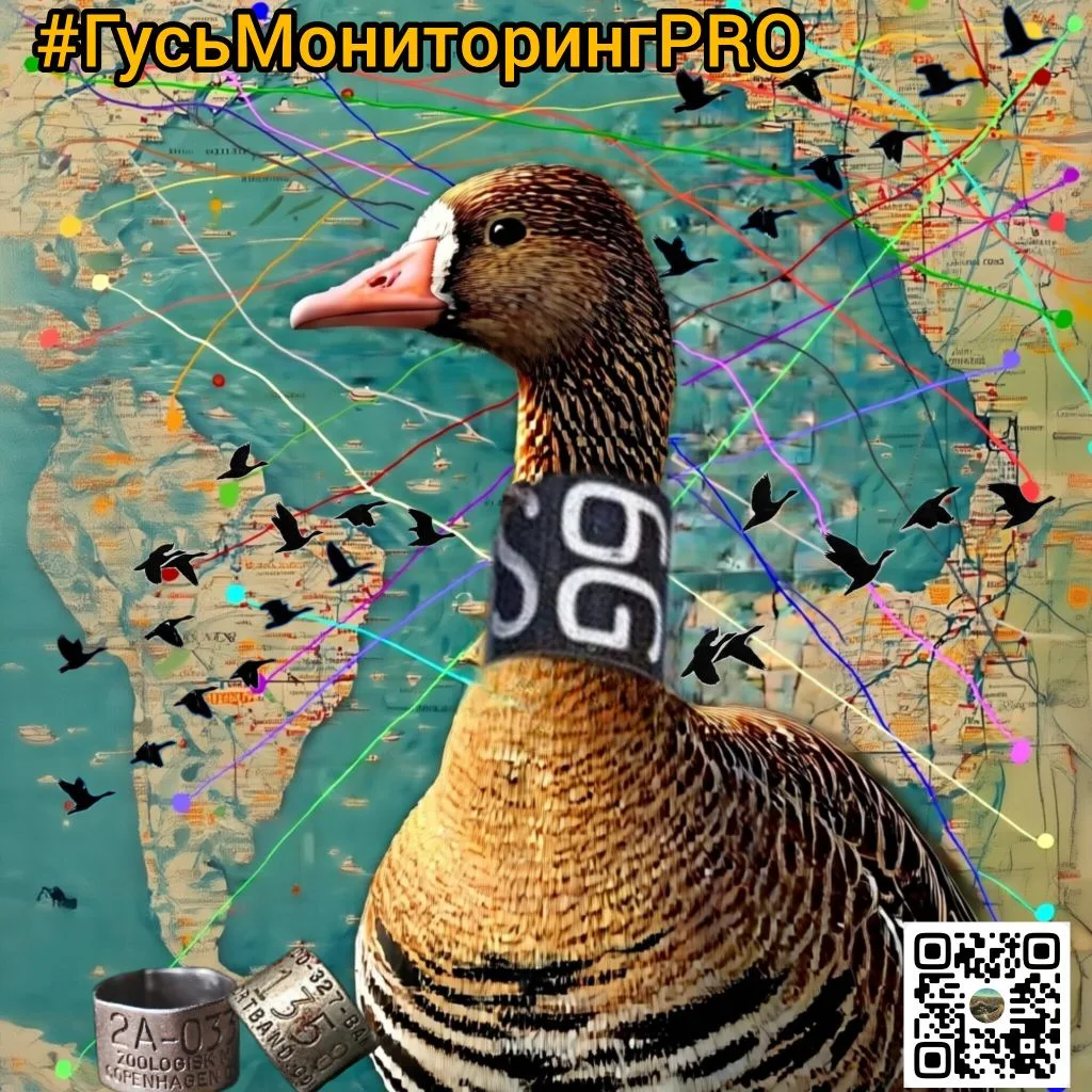 Парни группа не только для того чтобы брать информацию, мы ждём  её от всех участников ...