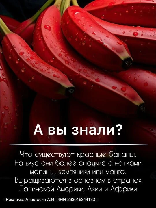 Изображение 1 к публикации «Рассказы»
