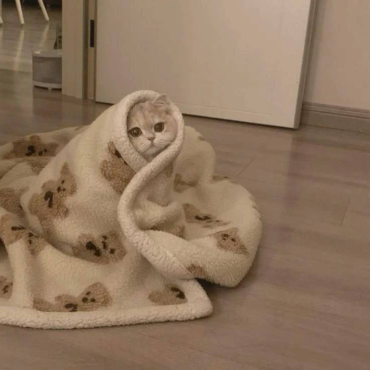 Чуть-чуть потеплеет, а потом завалит снегом.
