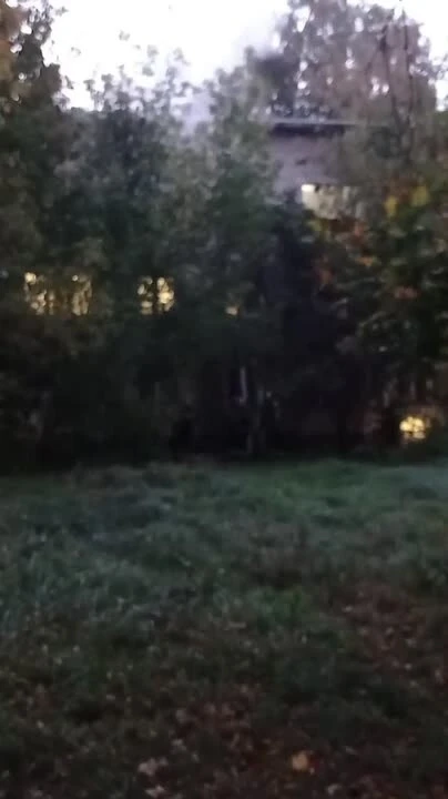 В Новой Москве при пожаре пострадали трое человек, в том числе двое детей.