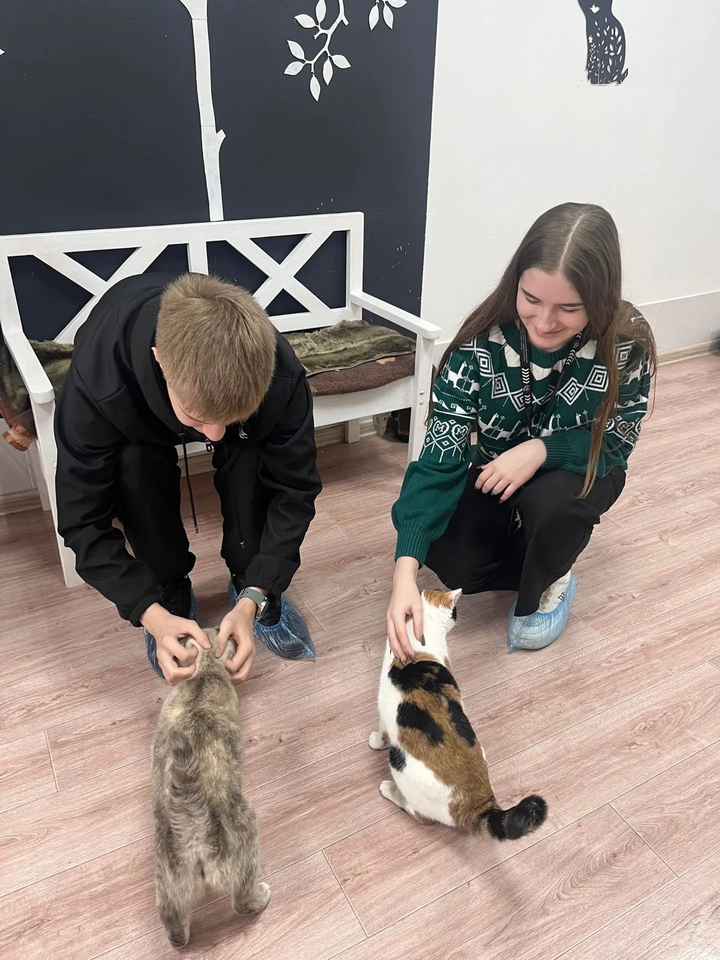 😼 День кошек в КИИМО: делаем мир добрее вместе  В честь Международного дня кошек волонтёрское объеди