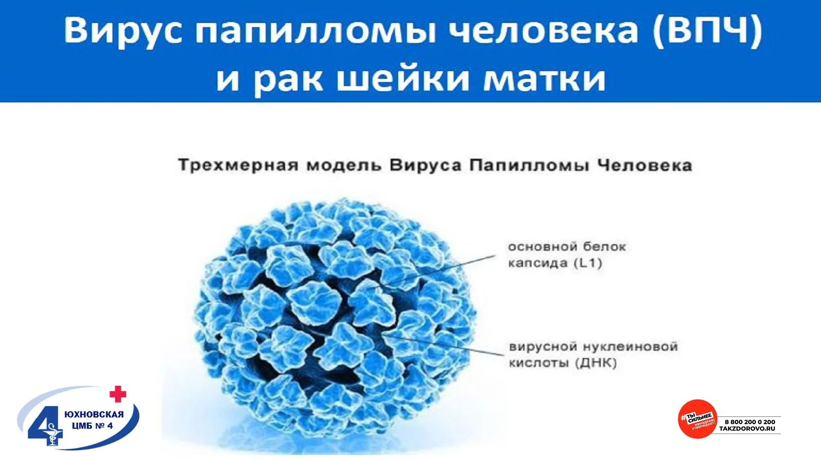 🆘 Аногенитальные (венерические) бородавки — это не просто косметический дефект или временное неудоб