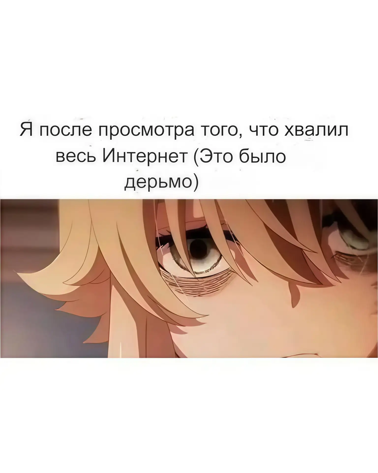 🔘 наши проекты