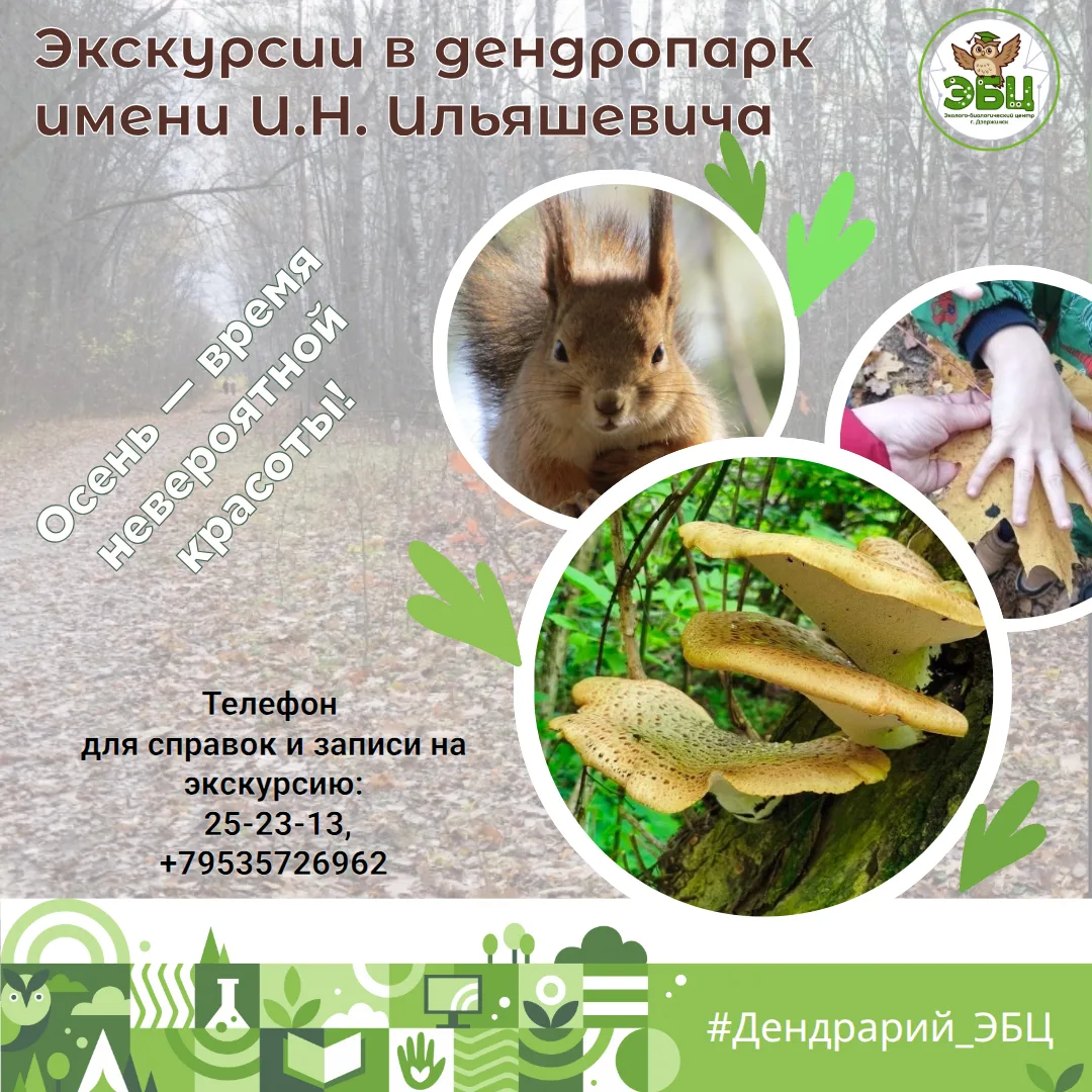 Осень — время невероятной красоты! 🍂