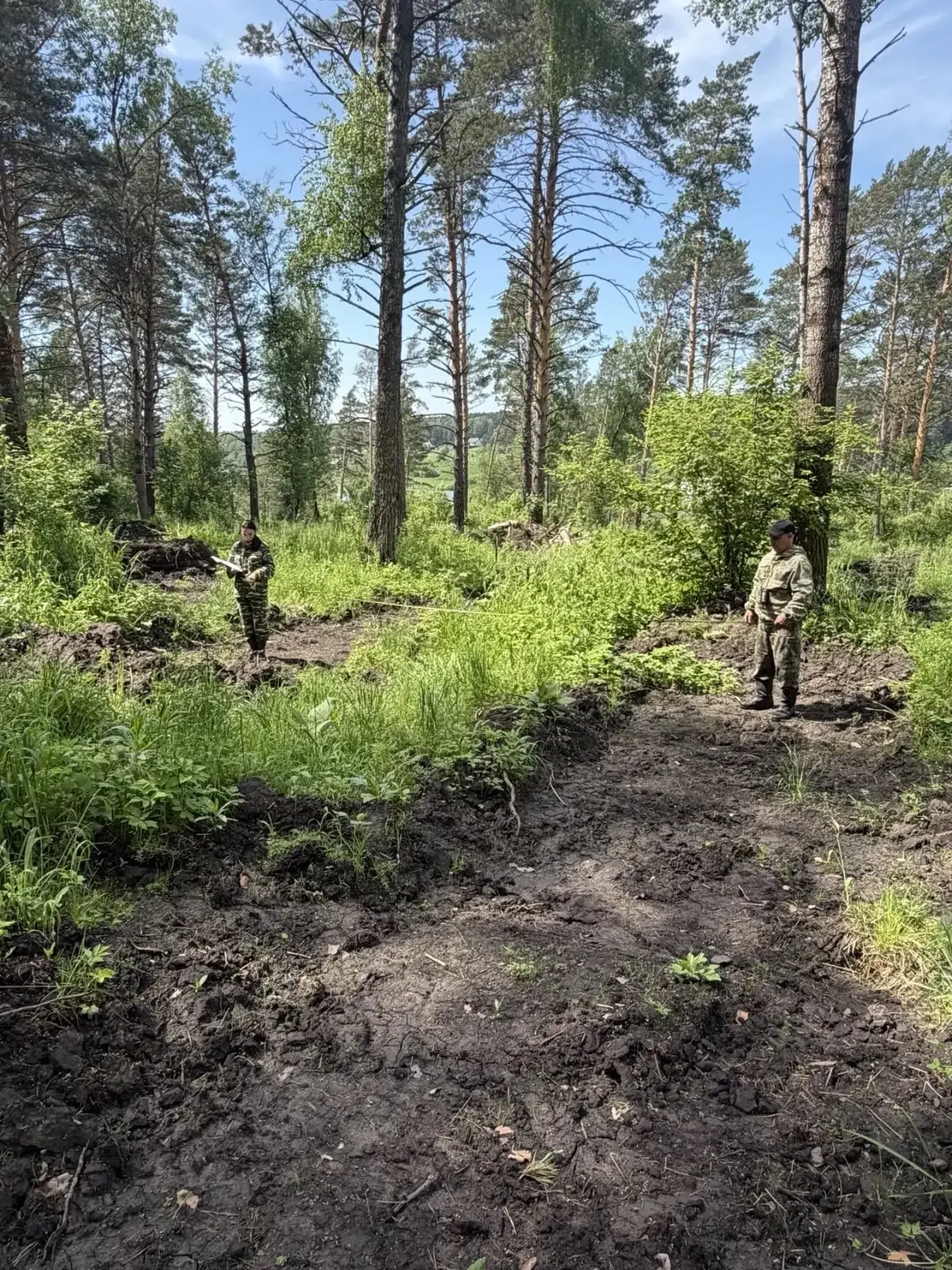 Лесовосстановление в Кузбассе решает ключевую государственную задачу, поставленную в ра...