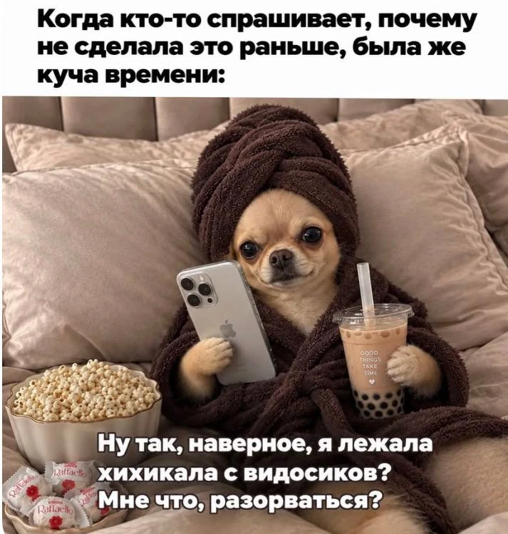 Мн все время попадаются эти смешные собаки 🤣🤣🤣🤣