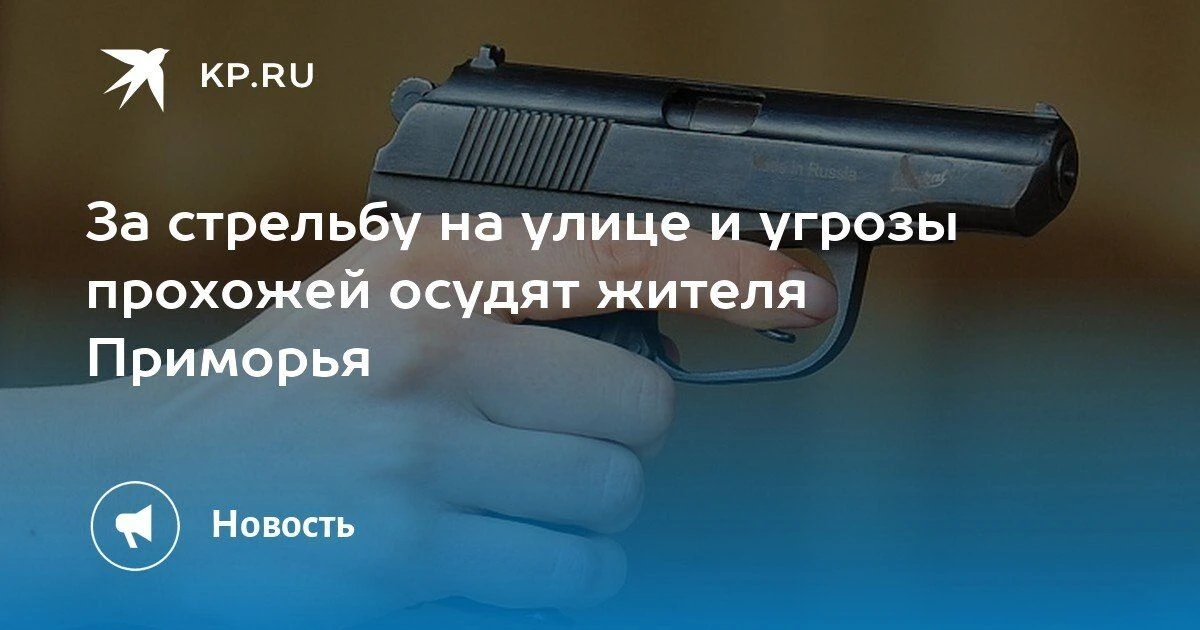 Стрельба и угрозы: жителя Приморья осудят за хулиганство