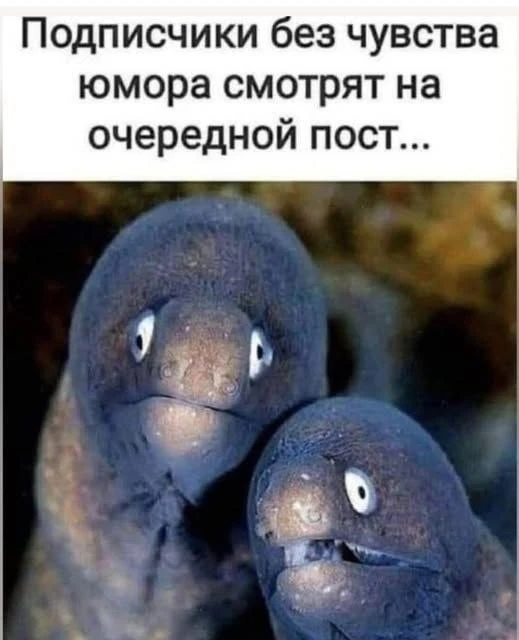 Шуточки из Беседки.