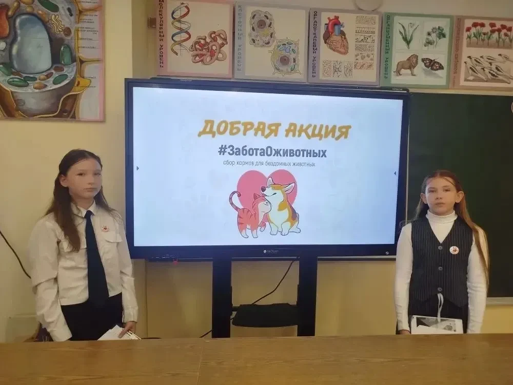 27 марта обучающиеся  5 «В» класса провели тематический классный час для ребят 5 «Б» класса  на  важ