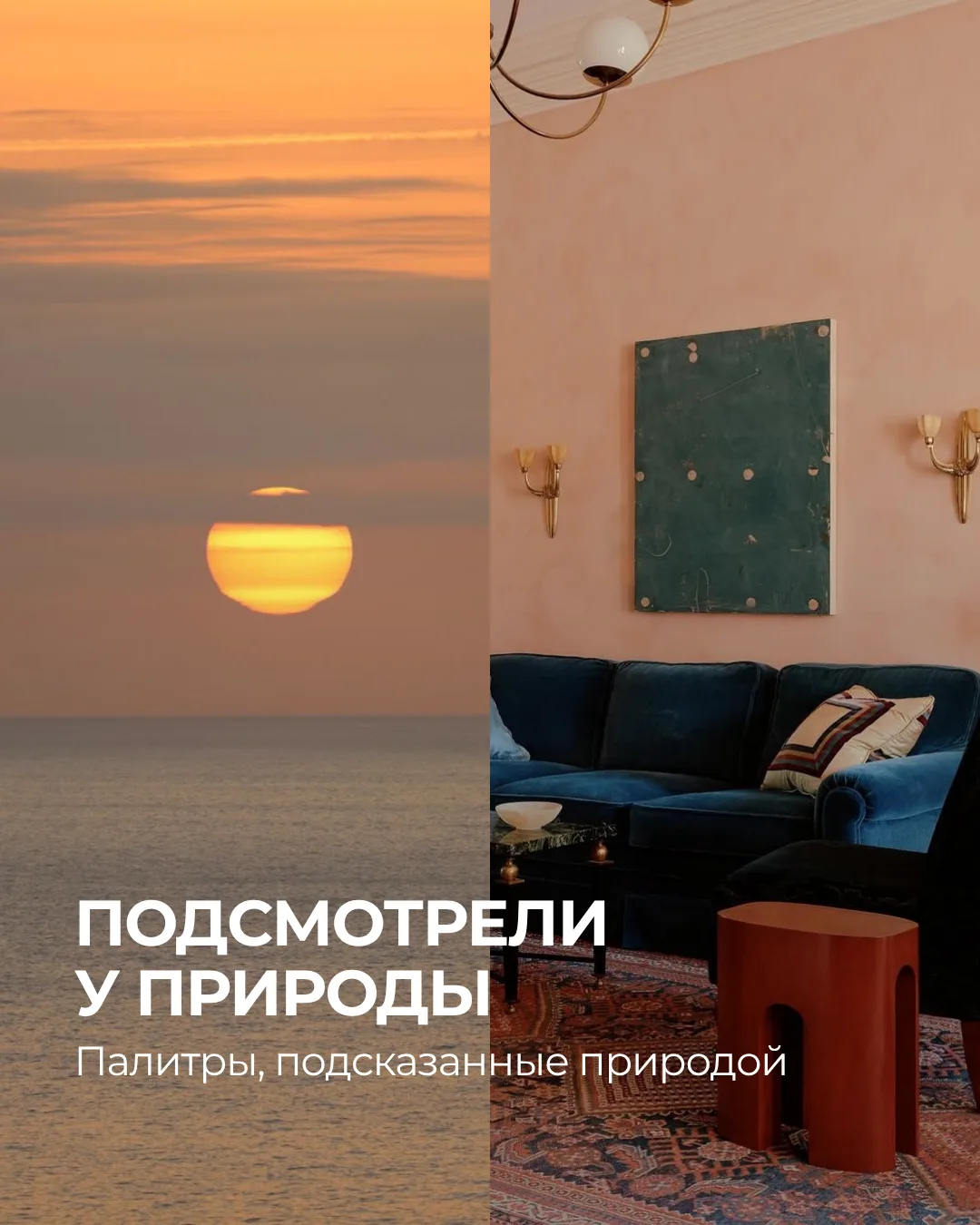 Природа никогда не ошибается с цветом 💯