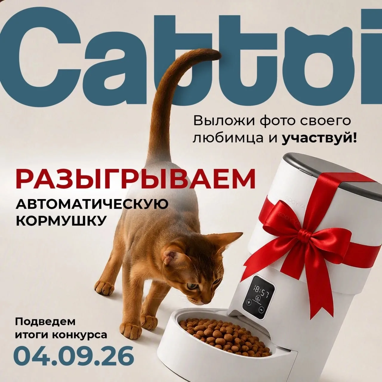 РОЗЫГРЫШ АВТОМАТИЧЕСКОЙ КОРМУШКИ ОТ CATTOI🐾