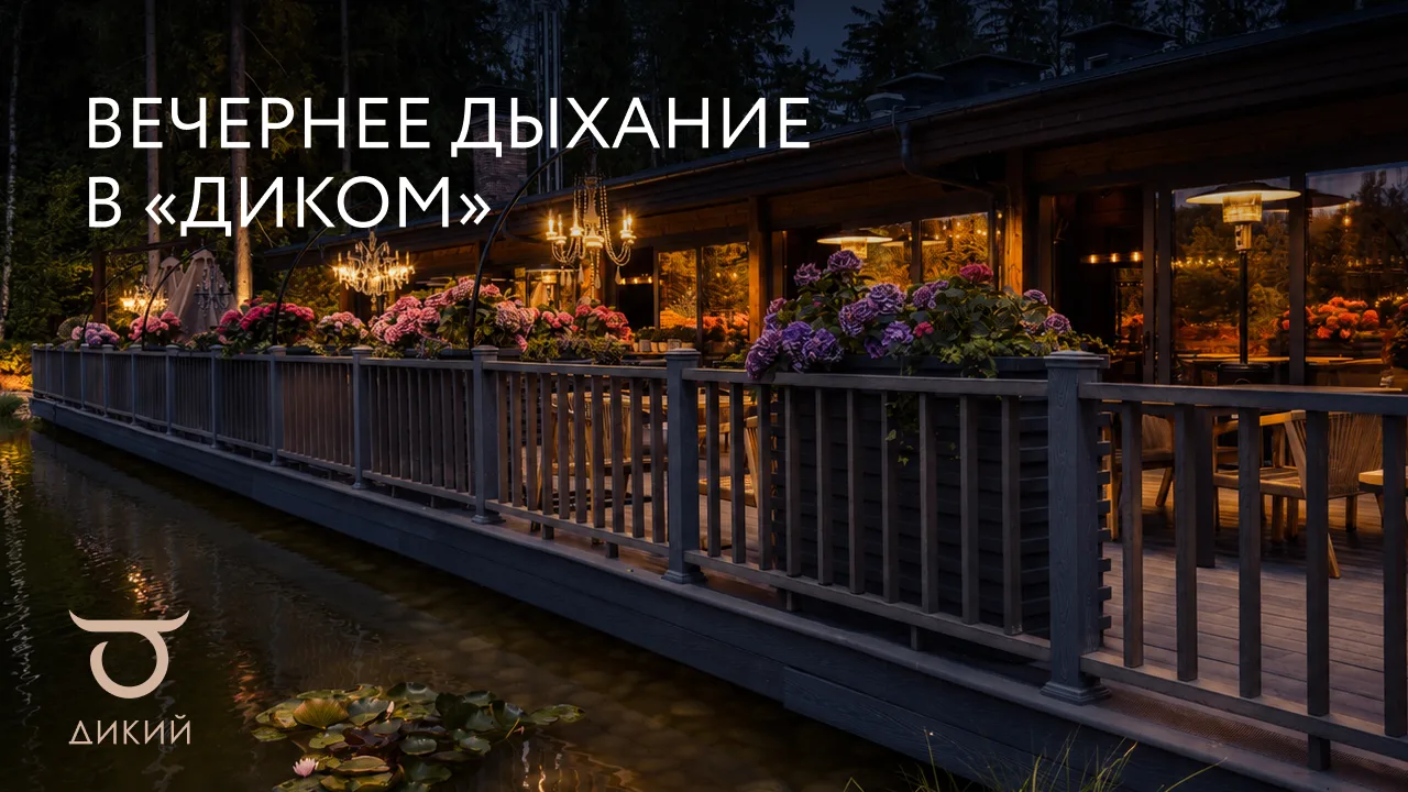 Время замедлиться ✨