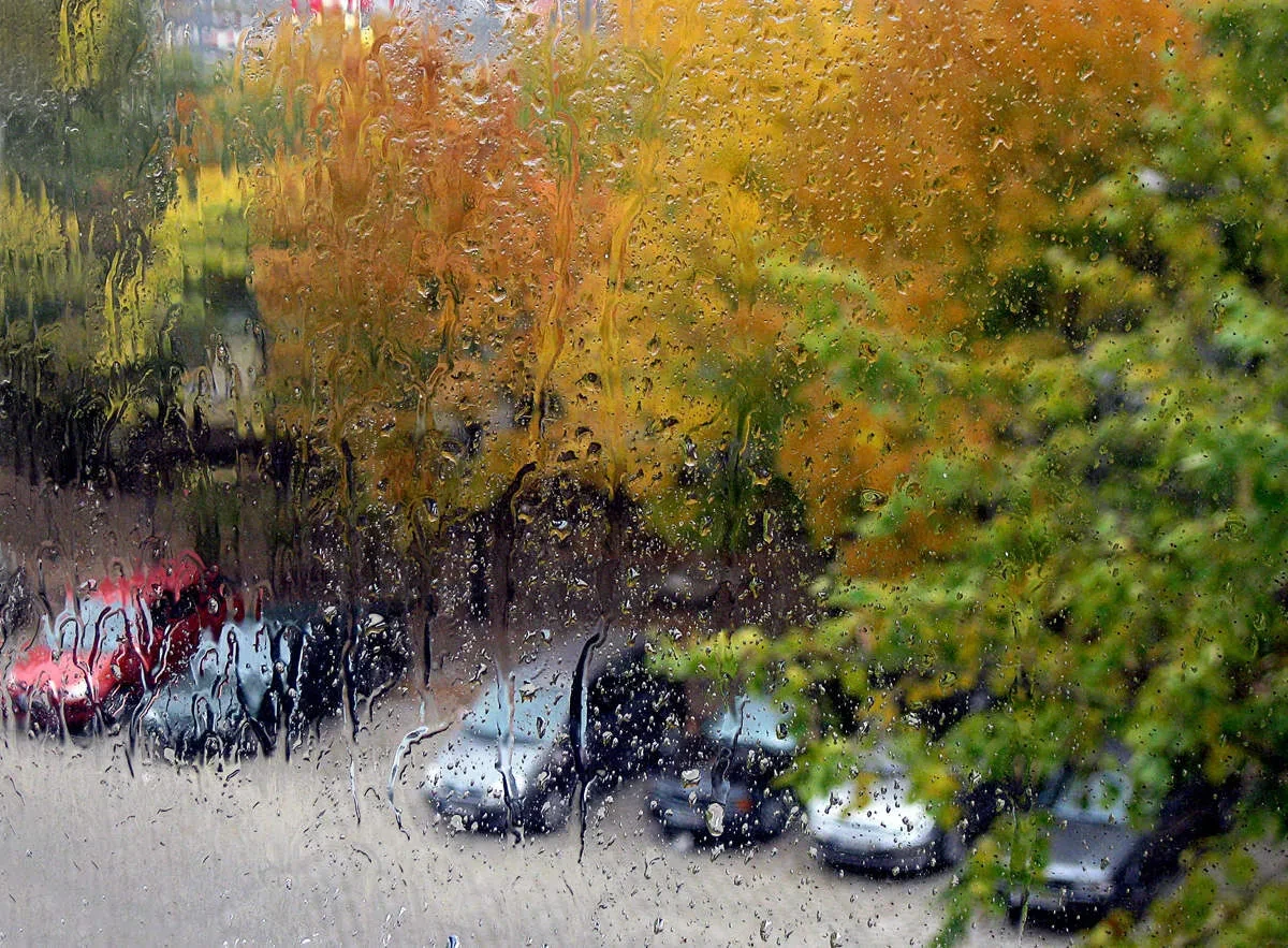 🌧 14 сентября в Комсомольске-на-Амуре от + 11 до + 10 градусов.
