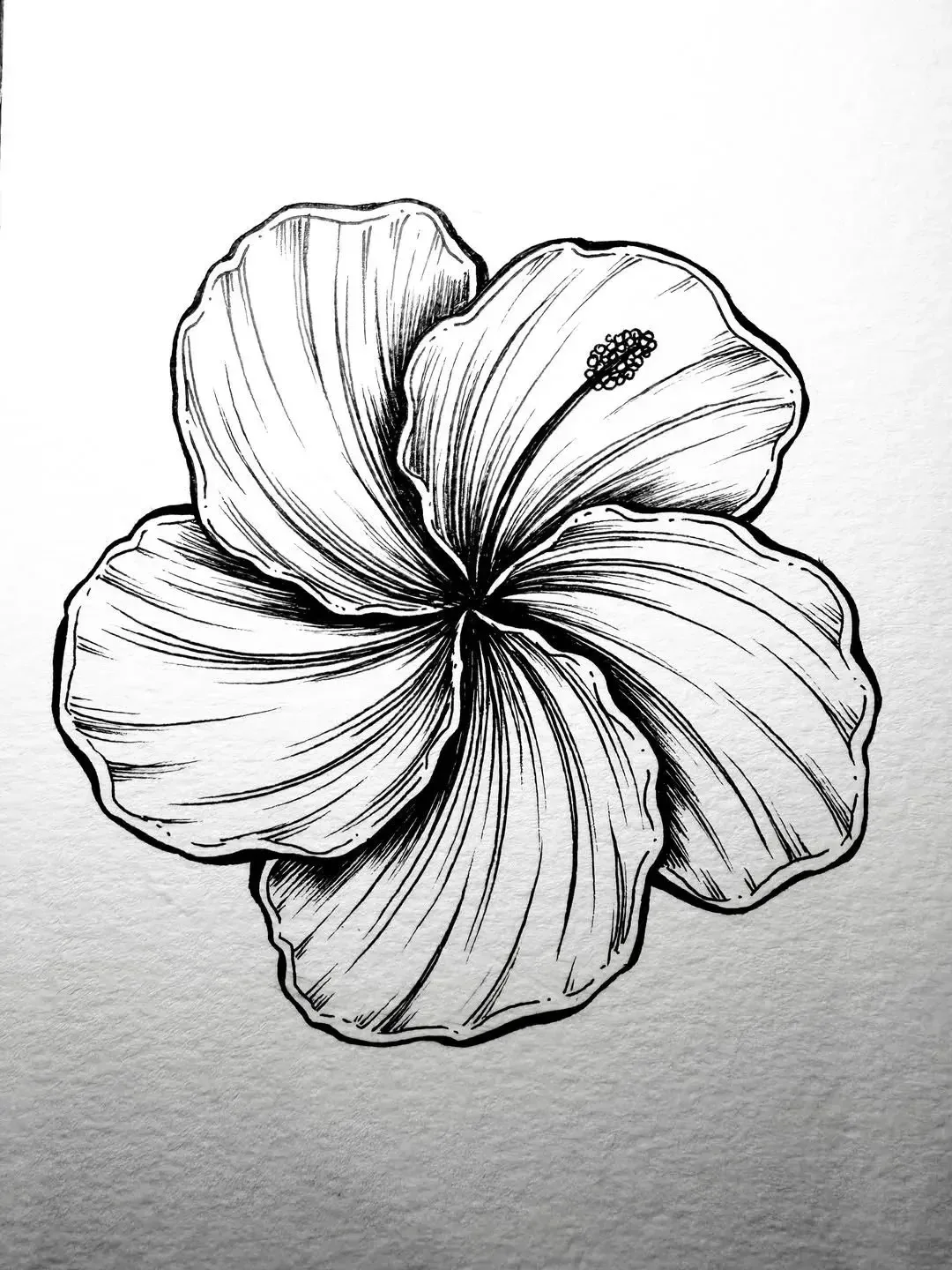Цветок 🌺 

Рисуем вместе 🎨