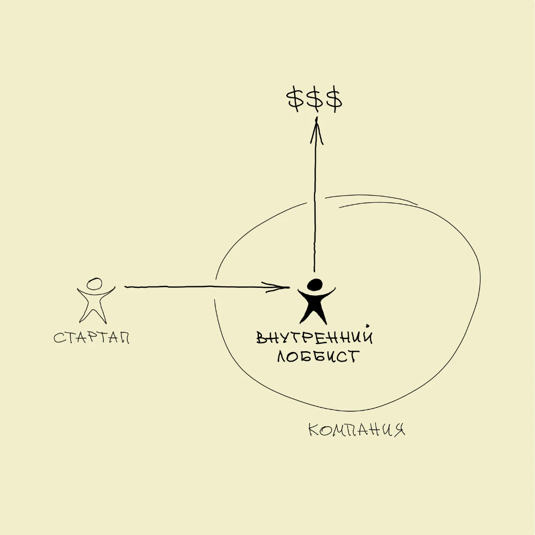 1. Чтобы продавать компаниям — нужно знать, кто твой «внутренний лоббист» 🎯 Внутренний...