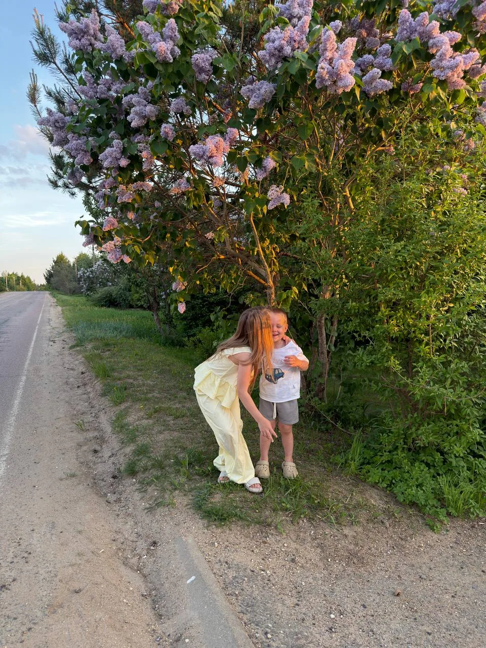 как же я люблю сирень 💜