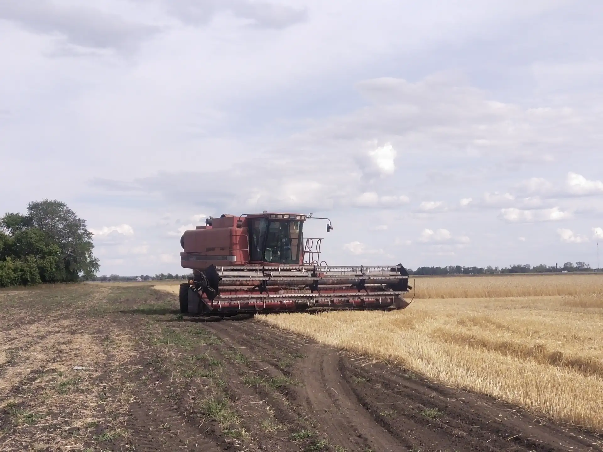 Одесский казачий сельскохозяйственный техникум