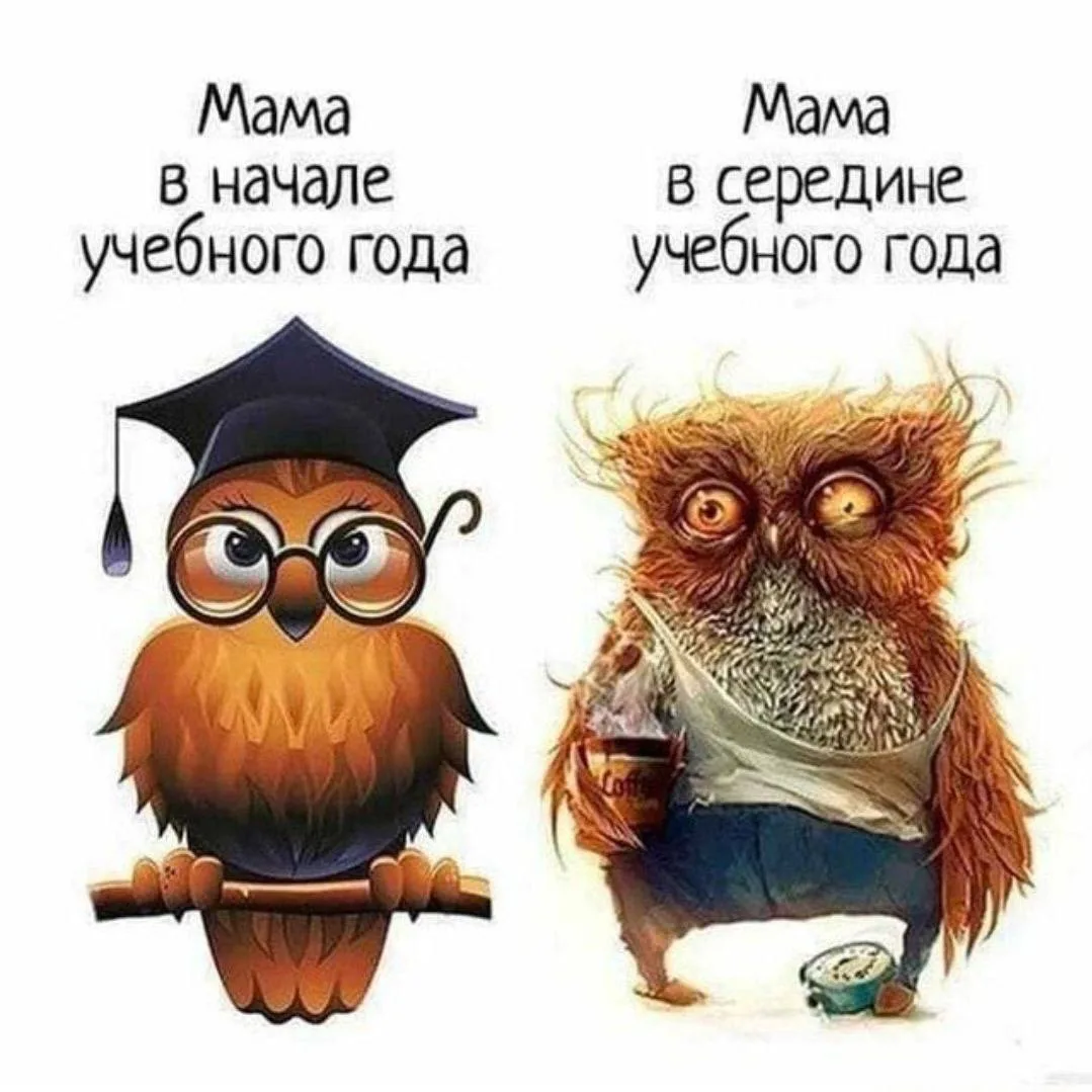 Помимо радости наконец-то дети идут в садики-школы мы за лето забываем этот круговой ад...
