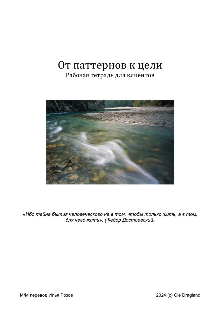 Паттернов к цели. Рабочая тетрадь для клиентов

Этот относительно краткий текст содержит обзор терап