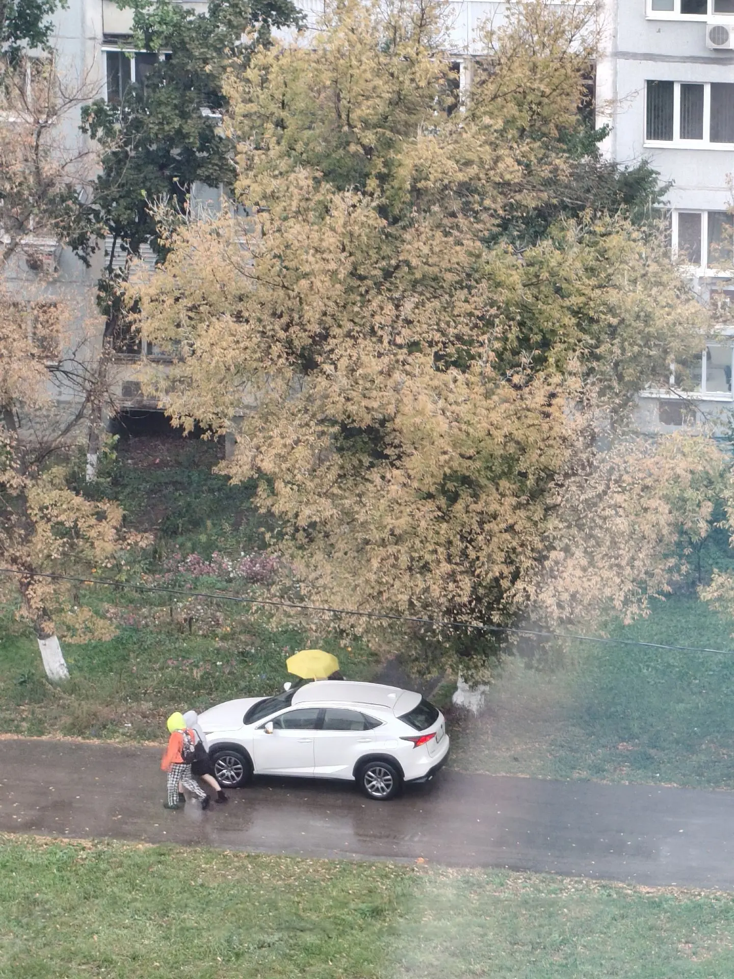 В Самаре сотрудники Госавтоинспекции привлекли к ответственности водителя "Лексуса" за ...