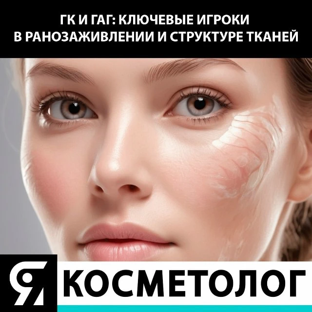 Гиалуроновая кислота и гликозаминогликаны: ключевые игроки в ранозаживлении и структуре...
