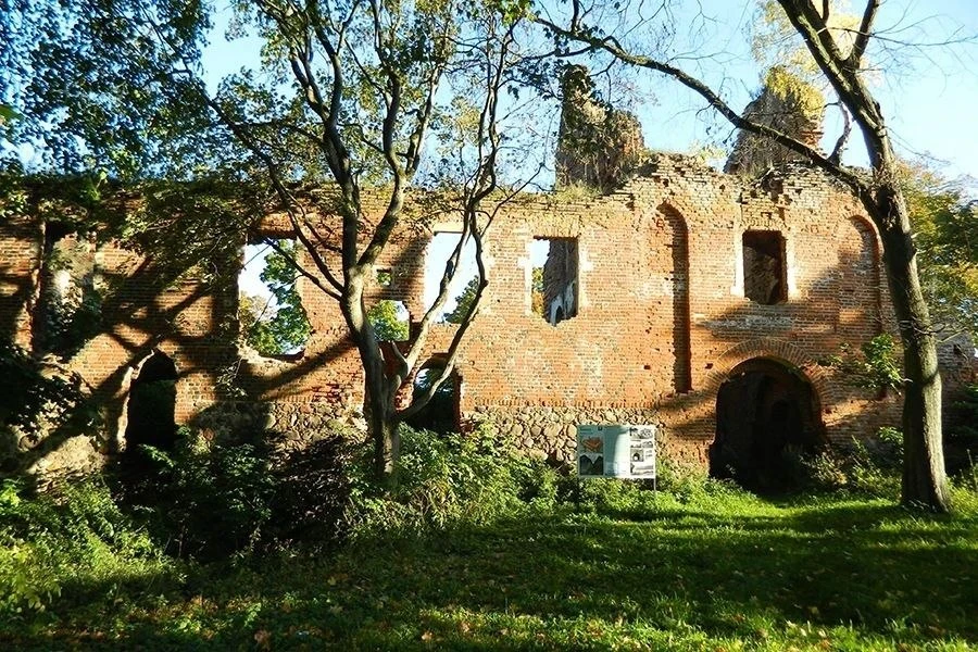 Руины замка «Заалау», а также культурный слой, расположенный рядом с ним, были включены в список выя