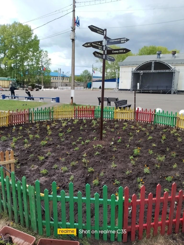В рамках сотрудничества, команда педагогов помогла городской администрации высадить рас...