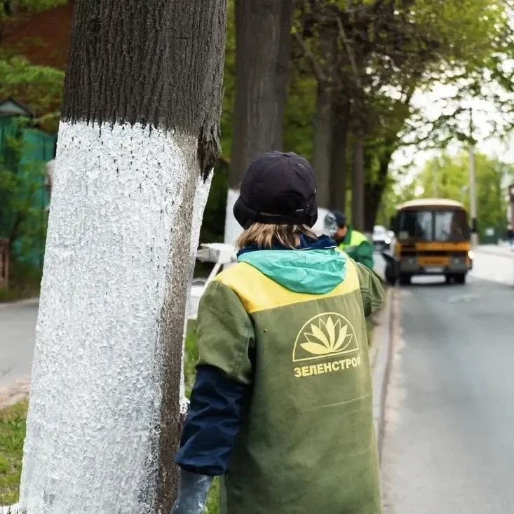 🌳В Чебоксарах проходят работы в рамках майской побелки деревьев   🌿 Обработка стволов деревьев в это