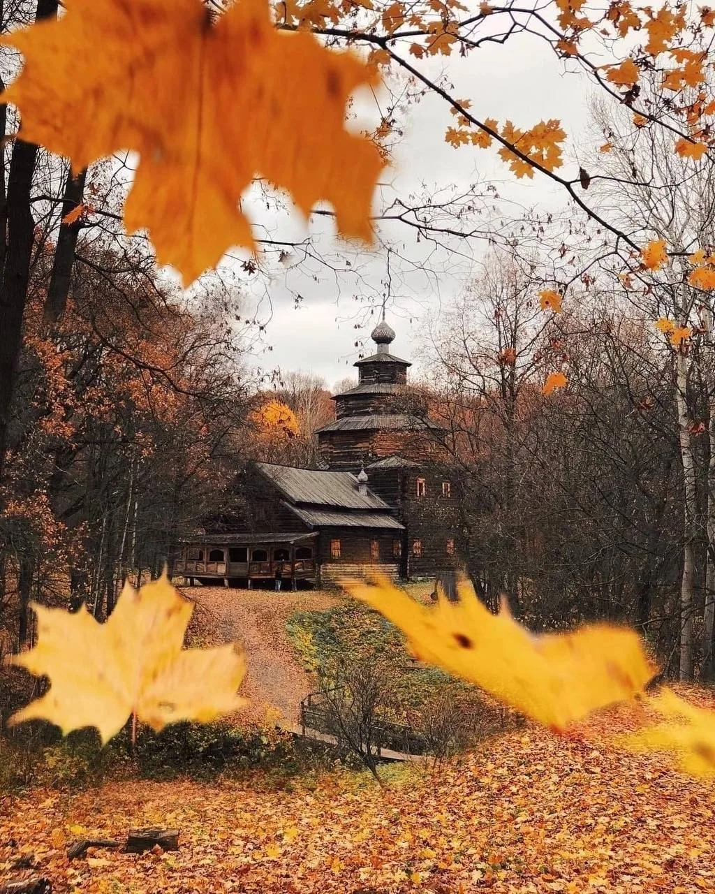 🍁 В Нижний Новгород пришла настоящая осень — на выходных похолодает до +9°C