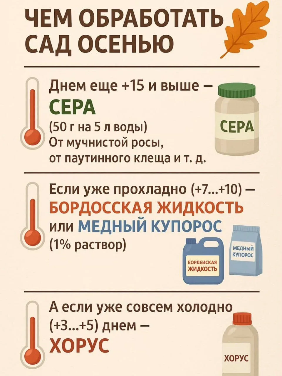 Осенняя обработка. Сохраняйте, скоро пригодится!