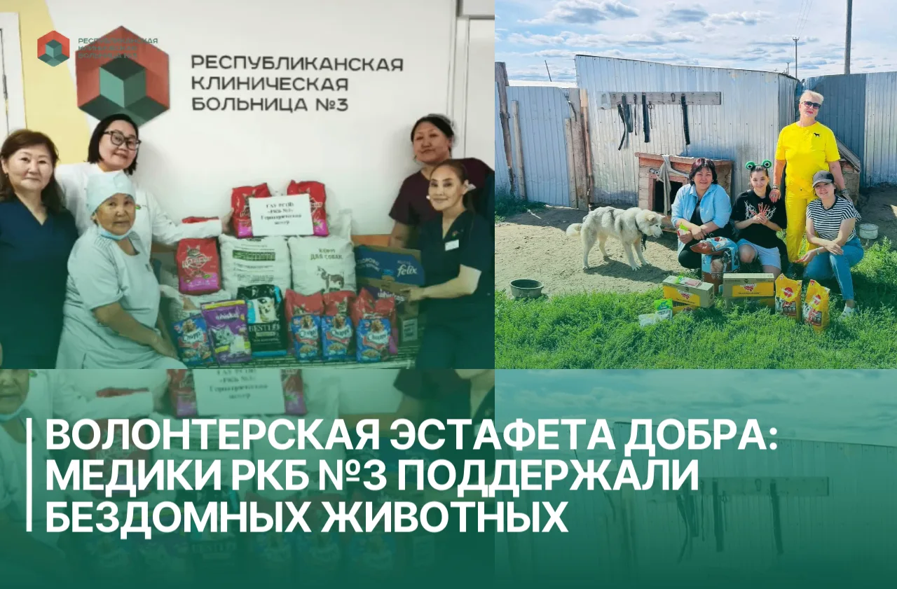 Волонтерская эстафета добра: Медики РКБ №3 поддержали бездомных животных