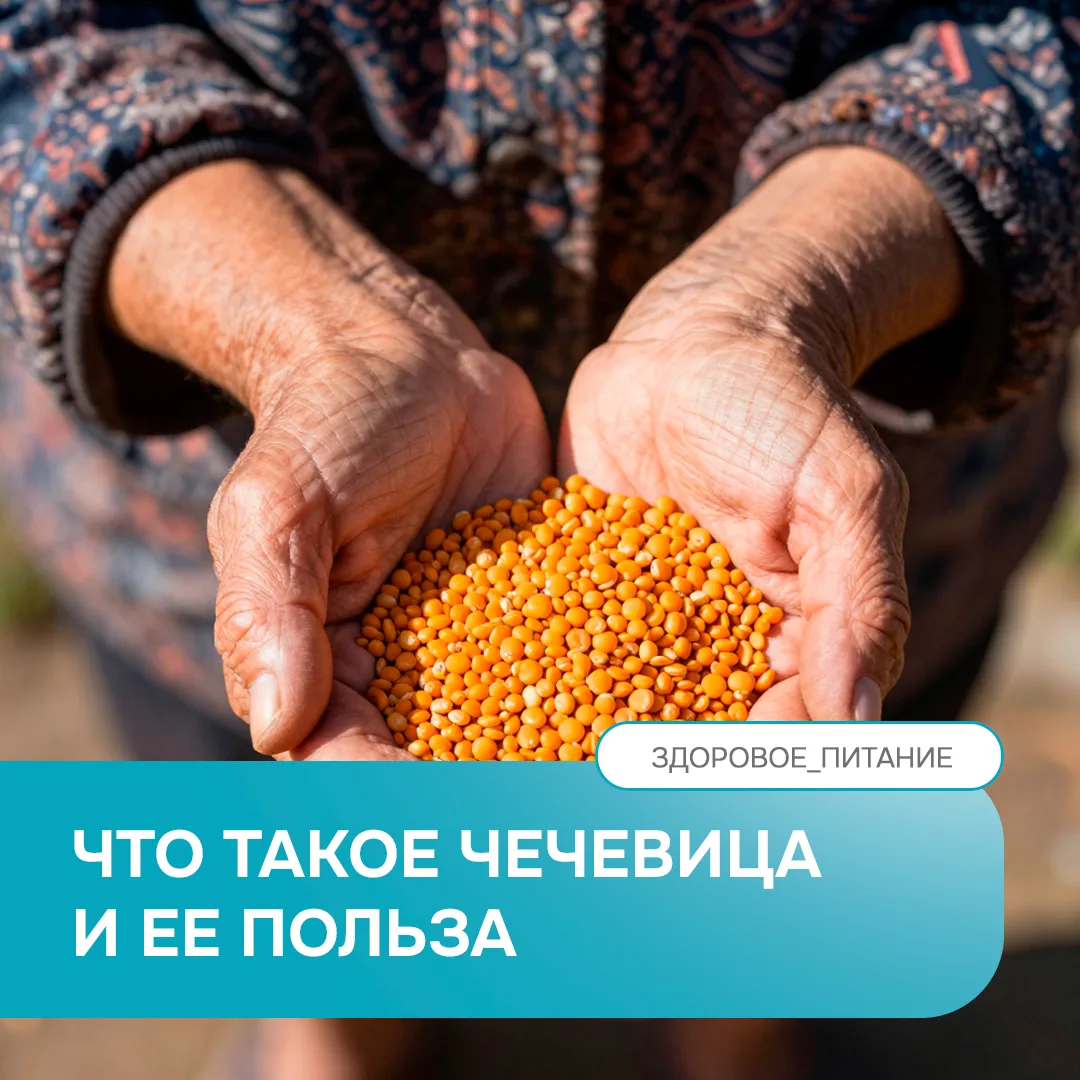 Чем полезна чечевица? 

Чечевица – это один из самых доступных и полезных продуктов, богатый легкоус