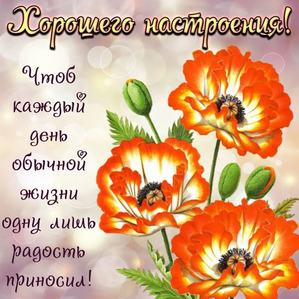 #ХорошегоНастроения