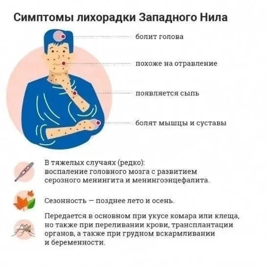 ❗️Комары в России могут переносить лихорадку Западного Нила  Роспотребнадзор советует использовать р