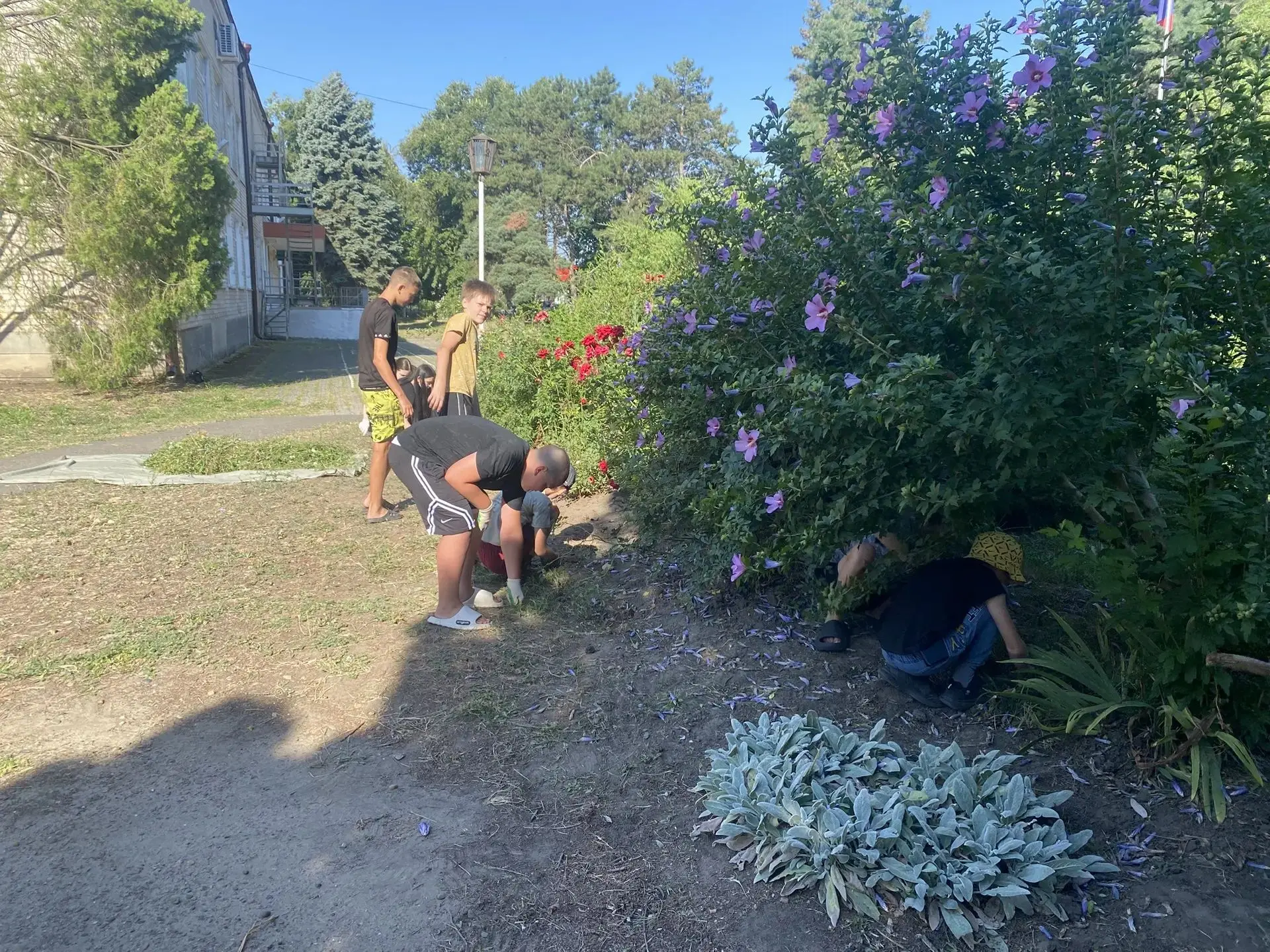 Трудовая бригада 6 "В" класса активно приступила к работе.